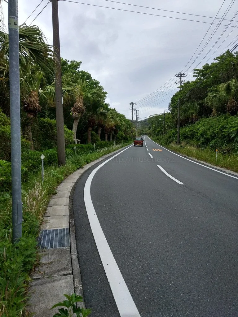 オタク週末旅行＜八丈島＞