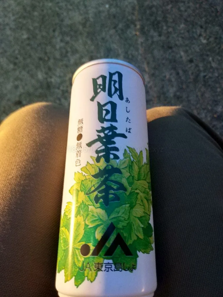 オタク週末旅行＜八丈島＞